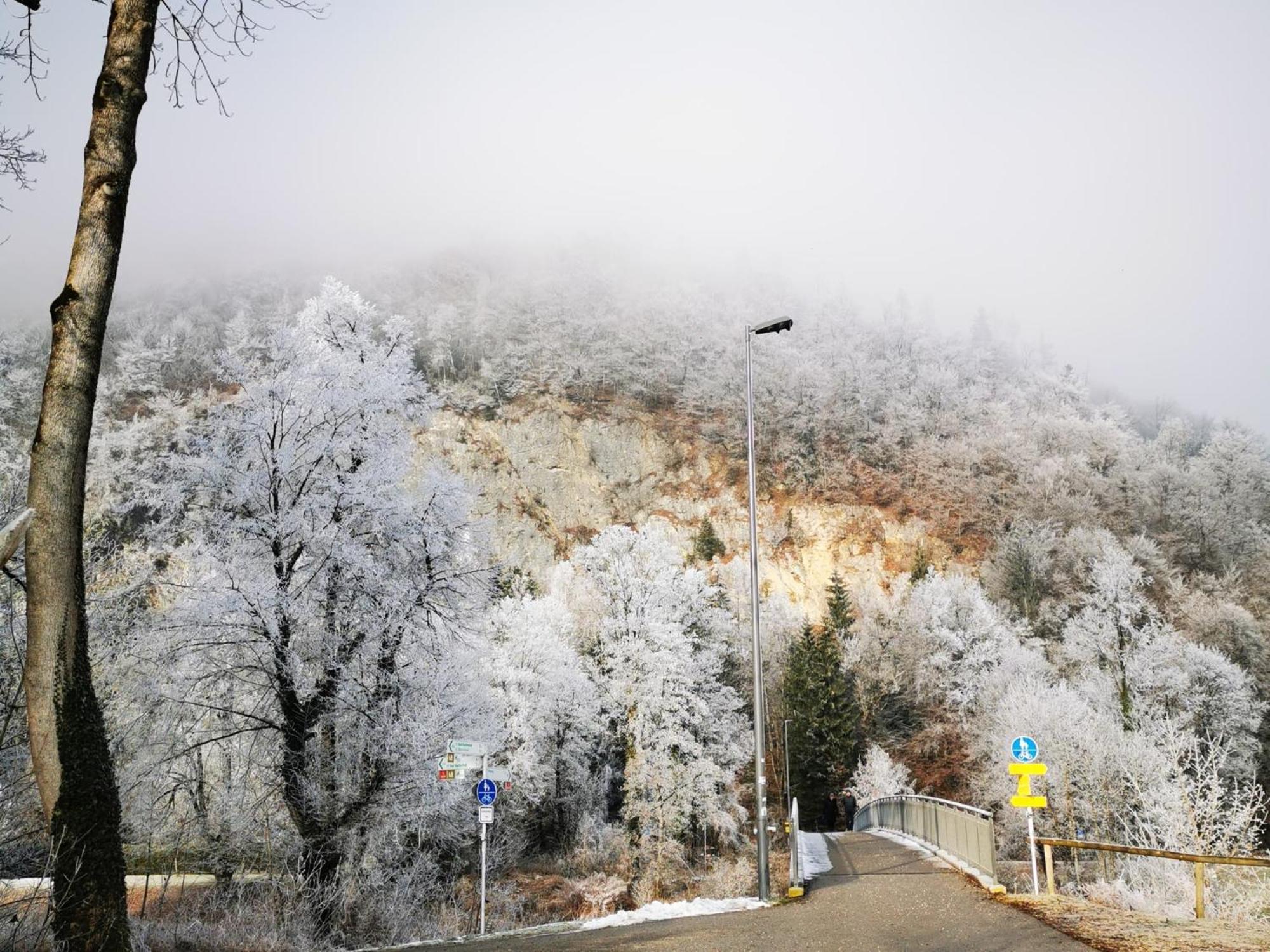 Gasthaus Staufenbruecke Bad Reichenhall Eksteriør bilde